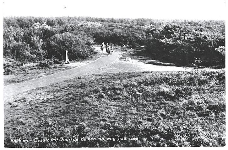 958033	Bakkum	Castricum	NH 1967 Holl Duinreservaat	Gelopen m, Verzamelen, Ansichtkaarten | Nederland, Gelopen, Noord-Holland, 1960 tot 1980