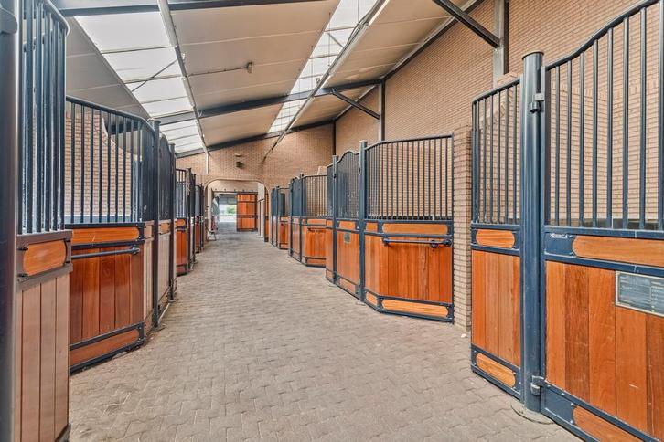 Luxe, kleinschalige Pensionstalling beschikbaar, Dieren en Toebehoren, Stalling en Weidegang, Weidegang