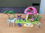 Playmobil Feeën & Eenhoorns 6055, Ophalen, Gebruikt, Complete set