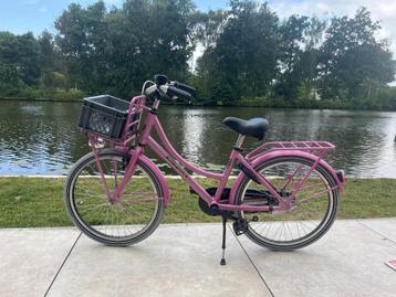 Alpina Cargo fiets 22inch fuchsia mat roze