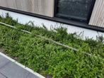 Druppelslang of nevelslang goot van RVS, Tuin en Terras, Druppelsystemen, Ophalen, Zo goed als nieuw