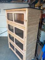 Flat 4 etages, Dieren en Toebehoren, 110 cm of meer, Nieuw, Ophalen of Verzenden, Hamster