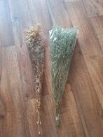 2 Bossen Gipskruid - Gedroogd & Gepreserveerd, Ophalen of Verzenden, Nieuw