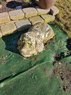 Parasol voet (hond), Ophalen