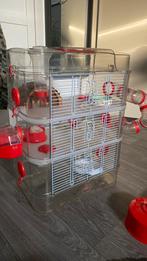 Dwerghamster/ muis kooi, Dieren en Toebehoren, Knaagdieren en Konijnen | Hokken en Kooien, Ophalen, Kooi, 60 tot 90 cm, Minder dan 75 cm