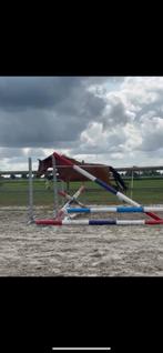 Prachtige welsh merrie, Merrie, 3 tot 6 jaar, C pony (1.27m tot 1.37m), Onbeleerd