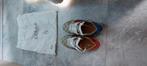 Gucci schoenen, Sport en Fitness, Basketbal, Ophalen of Verzenden, Nieuw, Schoenen