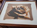 Rozenschilderij, Ophalen of Verzenden, Zo goed als nieuw, Schilderij, Minder dan 50 cm