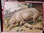 Varkens fam, Ophalen of Verzenden, Overige thema's