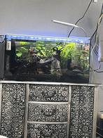Aquarium 60 cm, Dieren en Toebehoren, Ophalen, Gebruikt, Leeg aquarium
