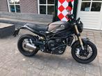 Benelli LEONCINO 800 ABS (bj 2025), Bedrijf, 754 cc, Naked bike