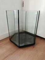 Aqarium 30 Liter, Dieren en Toebehoren, Ophalen, Zo goed als nieuw, Leeg aquarium
