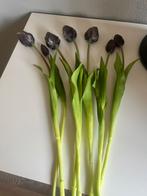Tulpen, Huis en Inrichting, Woonaccessoires | Kunstplanten en Kunstbloemen, Ophalen of Verzenden, Zo goed als nieuw