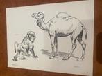 Mooie dieren prenten van Cornelis Mension, Ophalen, Gebruikt, 1940 tot 1960, Dier