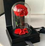 Roos in stolp. Sprookjesachtige Longlife Roos in stolp, Ophalen of Verzenden, Zo goed als nieuw