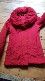 Damo, rode jas, getailleerd, maat 38, Kleding | Dames, Maat 38/40 (M), Ophalen of Verzenden, Zo goed als nieuw, Damo