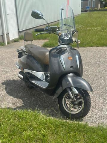 Killerbee Retro 2008 | Windscherm | Beurtje | Garantie beschikbaar voor biedingen