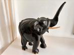 Ebbenhouten Mega grote OLIFANT Congo 1920, Ophalen of Verzenden
