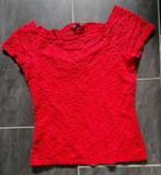 Rood coolcat shirt met voering maat XL, Maat 46/48 (XL) of groter, Ophalen of Verzenden, Zo goed als nieuw, Coolcat