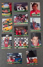 Ayrton Senna 12 Grid Cards  in goede staat, Ophalen of Verzenden, Zo goed als nieuw, Meerdere plaatjes