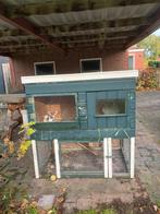 Houten konijnenhok met 2 konijnen, Dieren en Toebehoren, Konijnen, Mannelijk, Middelgroot, 6 tot 8 jaar