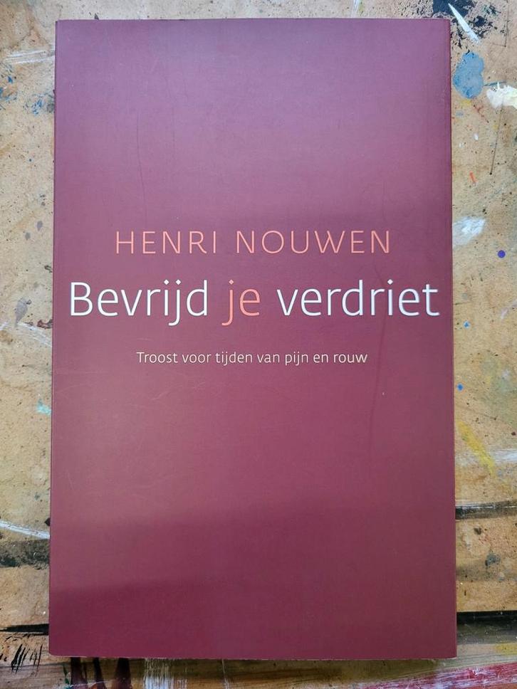 Bevrijd je verdriet - Henri Nouwen, Boeken, Esoterie en Spiritualiteit, Zo goed als nieuw, Achtergrond en Informatie, Ziel of Sterfelijkheid