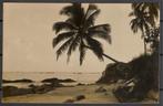 Palmbomen en strand, Seizoenen, Ongelopen, Verzenden