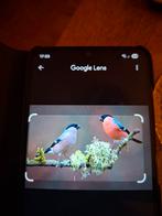 Koppel gouden vinken te koop gevraagd, Dieren en Toebehoren, Vogels | Overige Vogels, Meerdere dieren