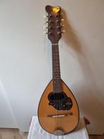 Twee mandolines Sicilmusica en Silvester Castania., Muziek en Instrumenten, Snaarinstrumenten | Mandolines, Ophalen, Gebruikt