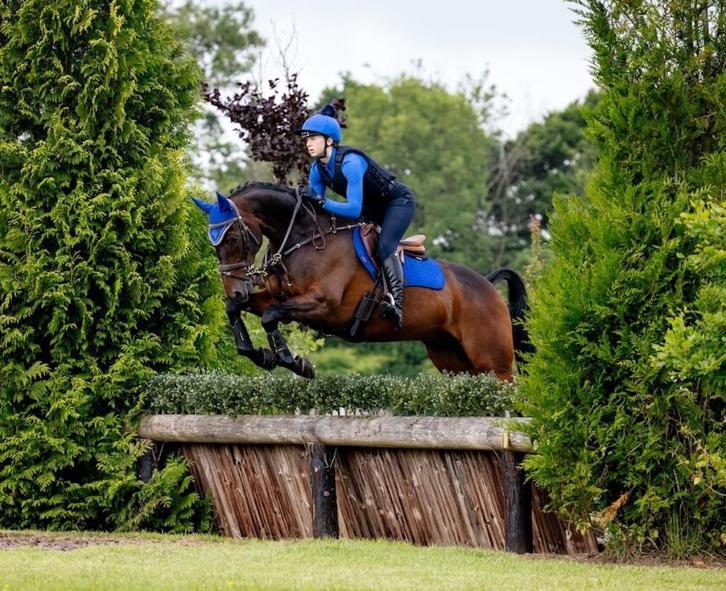 LeMieux Suede Spring CC dekje Benetton UITVERKOOP, Dieren en Toebehoren, Paarden en Pony's | Dekens en Dekjes, Nieuw, Dekje, Ophalen of Verzenden
