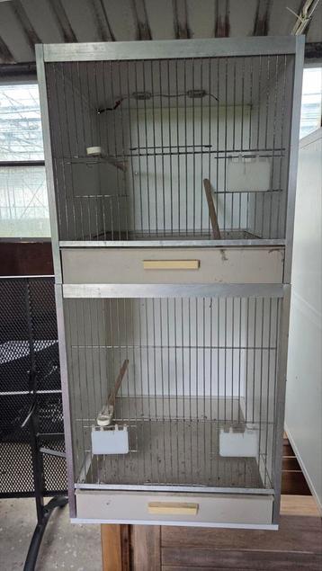 Broedhokken,  4 stuks  beschikbaar voor biedingen