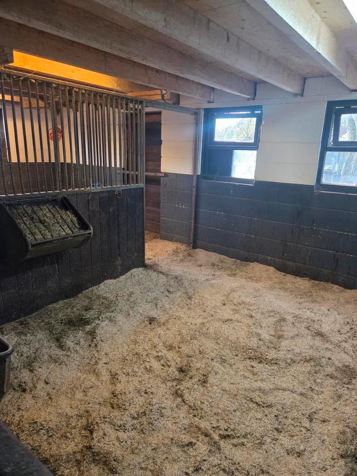 Te huur stalling Zevenaar, Dieren en Toebehoren, Stalling en Weidegang, Stalling, Weidegang