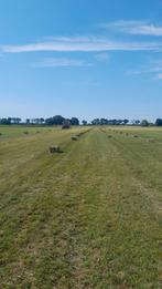 Mooi droog hooi, Dieren en Toebehoren, Dierenvoeding, Ophalen of Verzenden, Vee