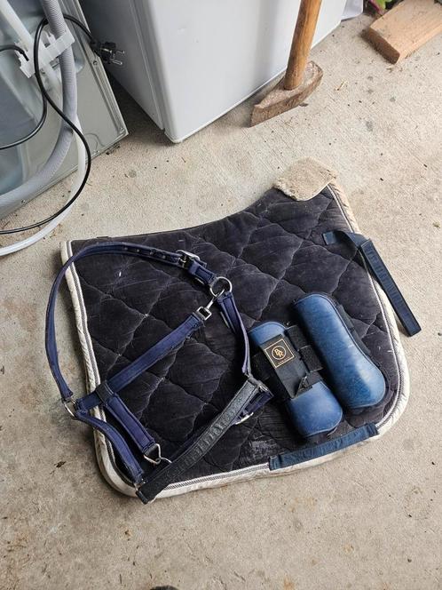 Setje met Eskadron dekje, Peesbeschermers en Halster, Dieren en Toebehoren, Paarden en Pony's | Hoofdstellen en Tuigage, Dressuur