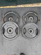 Lifemaxx Halterschijven 2x15 kg en 2x10 kg, Sport en Fitness, Ophalen, Gebruikt, Rug, Halterschijven