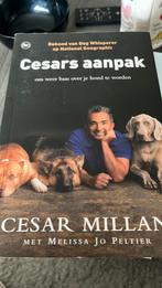 Cesar Millan - Cesars aanpak, Boeken, Dieren en Huisdieren, Honden, Zo goed als nieuw, Cesar Millan, Ophalen of Verzenden