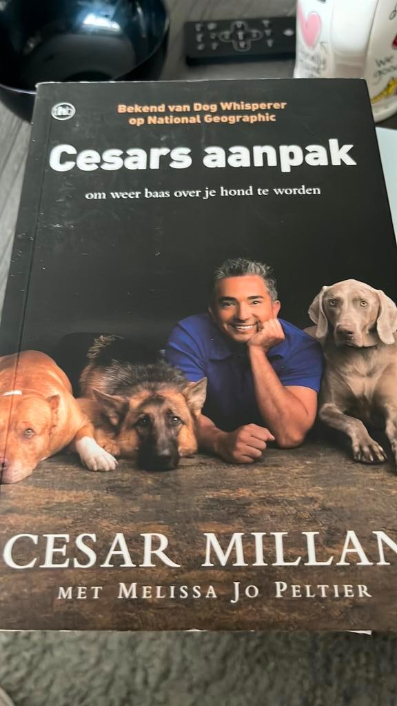 Cesar Millan - Cesars aanpak, Boeken, Dieren en Huisdieren, Zo goed als nieuw, Honden, Ophalen of Verzenden