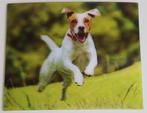 Kaart met 3D effect, hond, Jack Russel terriër, Ophalen of Verzenden, 1980 tot heden, Ongelopen, Hond of Kat