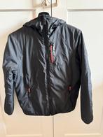 Falcon winterjas skijas grijs antraciet maat 152, Kinderen en Baby's, Kinderkleding | Maat 152, Falcon, Ophalen of Verzenden, Zo goed als nieuw