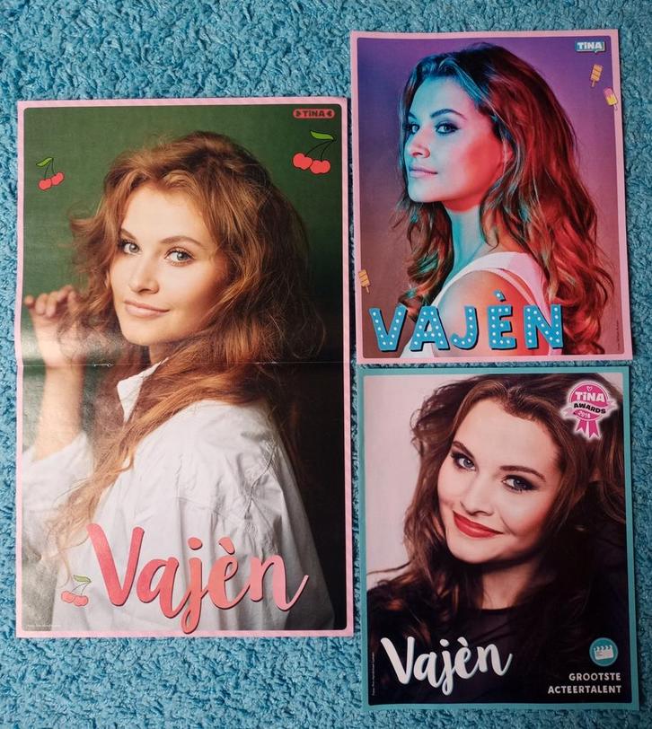 Vajèn van den Bosch posters Tina, Verzamelen, Posters, Nieuw, Film en Tv, Rechthoekig Staand, Ophalen of Verzenden