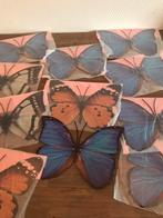 vlinders voor decoratie  / nieuw in verpakking, Ophalen of Verzenden