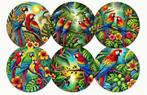 Onderzetters met Papegaaien afbeeldingen, Ophalen of Verzenden, Nieuw, Glas of Kopje