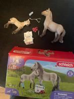Schleich Horse Club Set - 4243 EHBO paard  en Veulen, Ophalen of Verzenden, Zo goed als nieuw, Overige typen