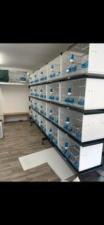 Kweekkooien, Dieren en Toebehoren, Vogels | Hokken en Kooien, Ophalen of Verzenden, Hout, Broedkooi of Kweekkooi