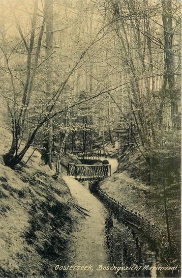 (387-201-033) Oosterbeek Boschgezicht Mariendaal beschikbaar voor biedingen