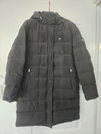 Tommy hilfiger winterjas, Kleding | Dames, Zwart, Ophalen of Verzenden, Zo goed als nieuw, Maat 36 (S)