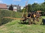 Koets/wagonette, Dieren en Toebehoren, Paarden