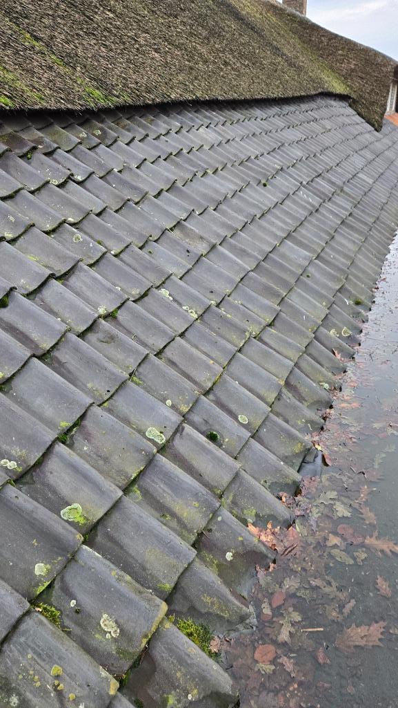 Partij oude Hollandse dakpannen +/- 1500 st, Doe-het-zelf en Verbouw, Dakpannen en Dakbedekking, Gebruikt, Dakpannen, Blauw, 15 m² of meer