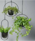 2 x rond Hangbloempot, plant, bloempot, Tuin en Terras, Bloembakken en Plantenbakken, Ophalen, Zo goed als nieuw, Rond, Minder dan 60 cm