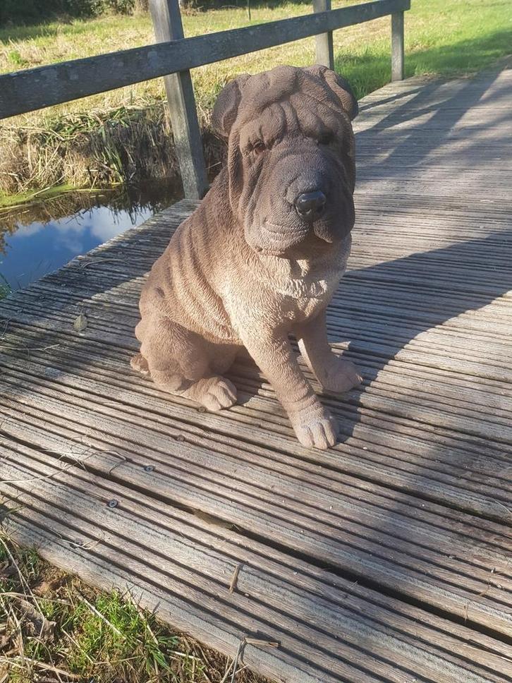 Mooie Shar-Pei, Tuin en Terras, Tuinbeelden, Nieuw, Dierenbeeld, Kunststof, Ophalen